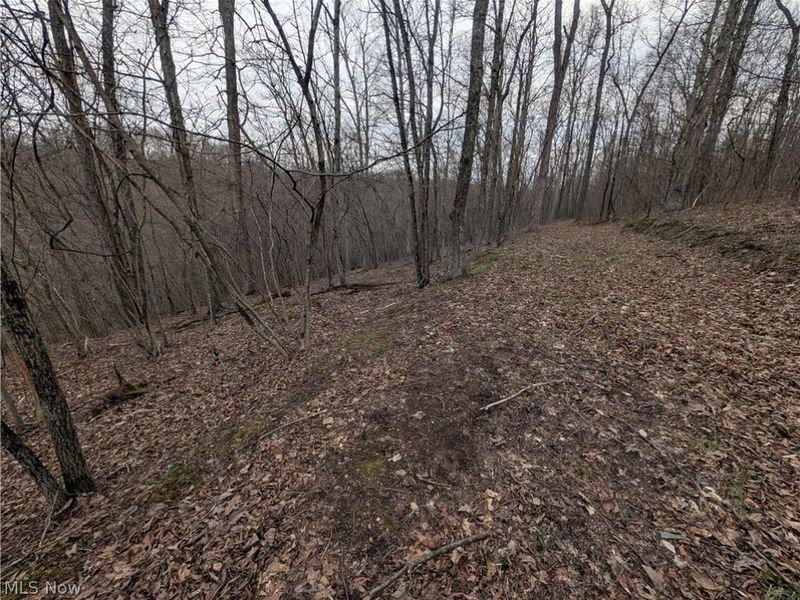 39000 Lees Run Road, Cadiz, OH 43907 Photo 34