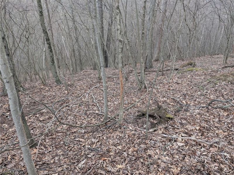 39000 Lees Run Road, Cadiz, OH 43907 Photo 35