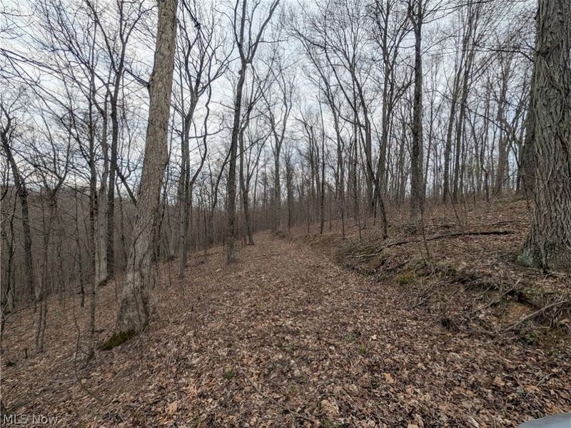 39000 Lees Run Road, Cadiz, OH 43907 Photo 36