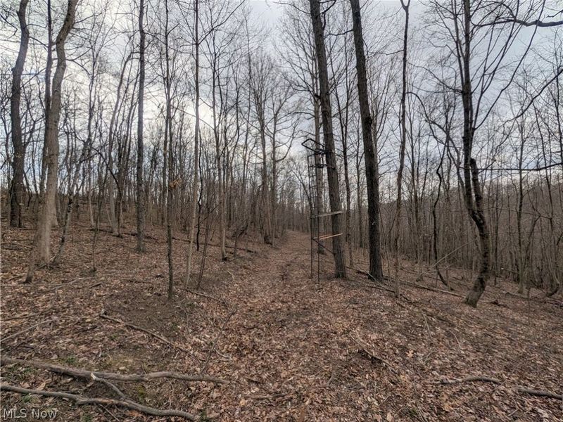 39000 Lees Run Road, Cadiz, OH 43907 Photo 37