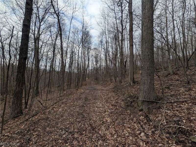 39000 Lees Run Road, Cadiz, OH 43907 Photo 38