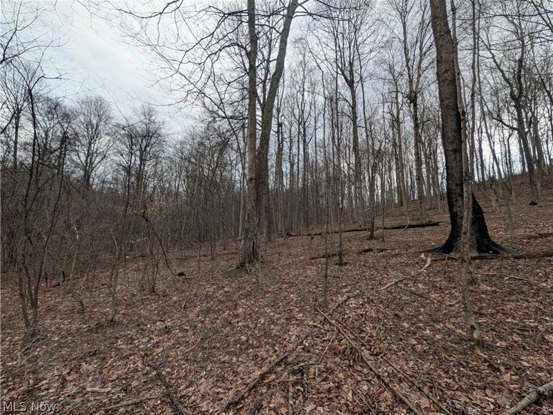 39000 Lees Run Road, Cadiz, OH 43907 Photo 39