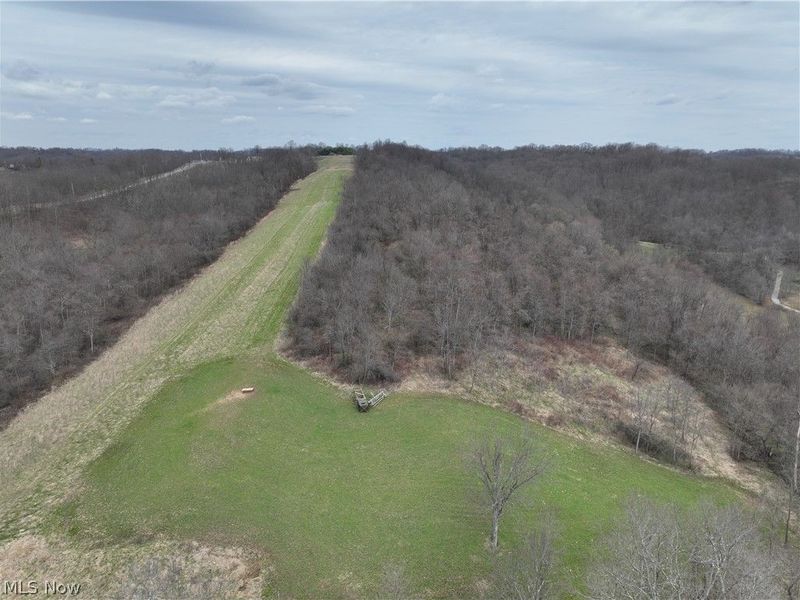 39000 Lees Run Road, Cadiz, OH 43907 Photo 4