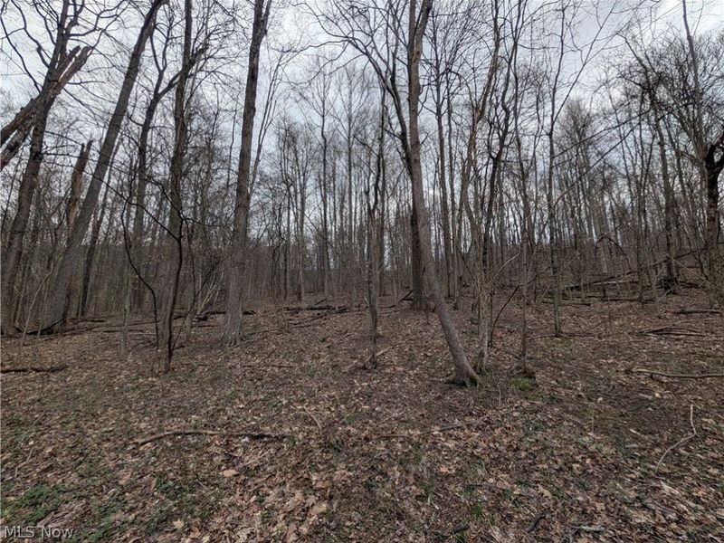 39000 Lees Run Road, Cadiz, OH 43907 Photo 40