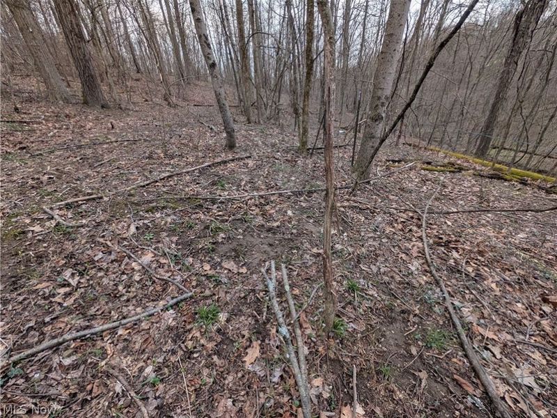 39000 Lees Run Road, Cadiz, OH 43907 Photo 41