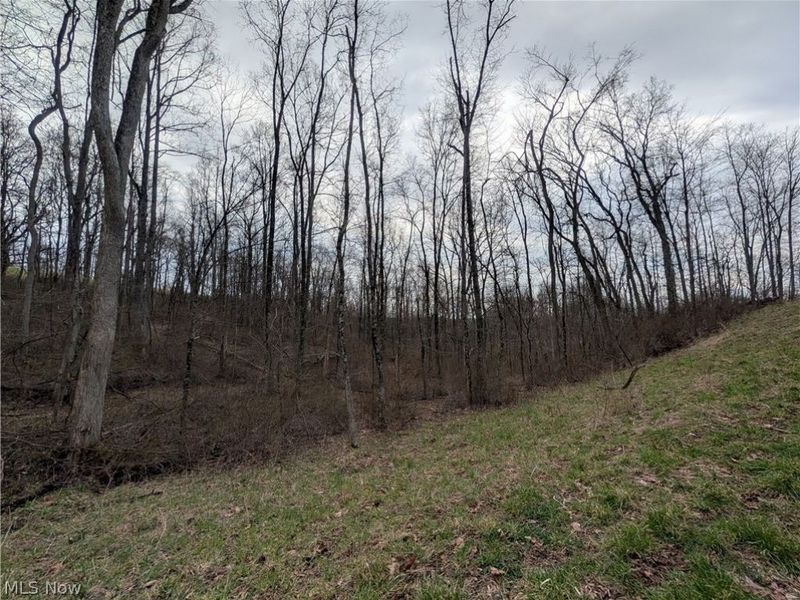 39000 Lees Run Road, Cadiz, OH 43907 Photo 42