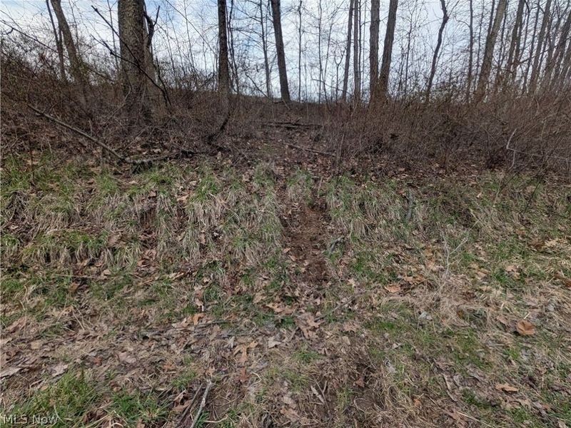 39000 Lees Run Road, Cadiz, OH 43907 Photo 43