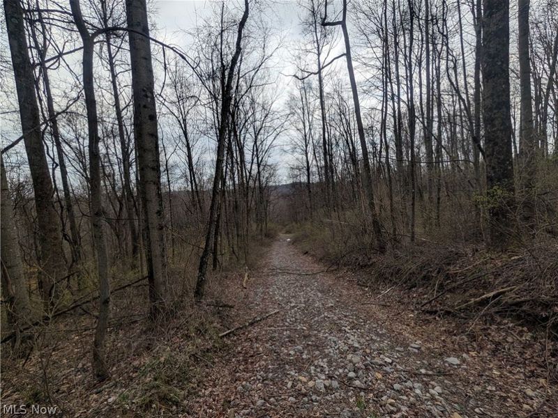 39000 Lees Run Road, Cadiz, OH 43907 Photo 45