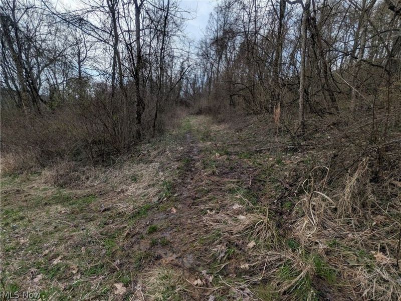 39000 Lees Run Road, Cadiz, OH 43907 Photo 46