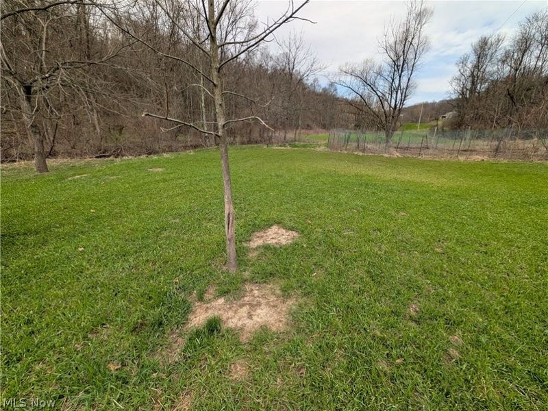 39000 Lees Run Road, Cadiz, OH 43907 Photo 5