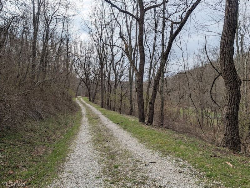 39000 Lees Run Road, Cadiz, OH 43907 Photo 9