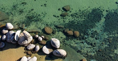 8681 Rainbow Ave, Kings Beach, CA 96143 Photo