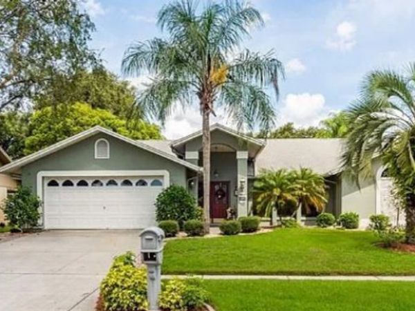 3009 Starmount Drive, Valrico, FL 33596