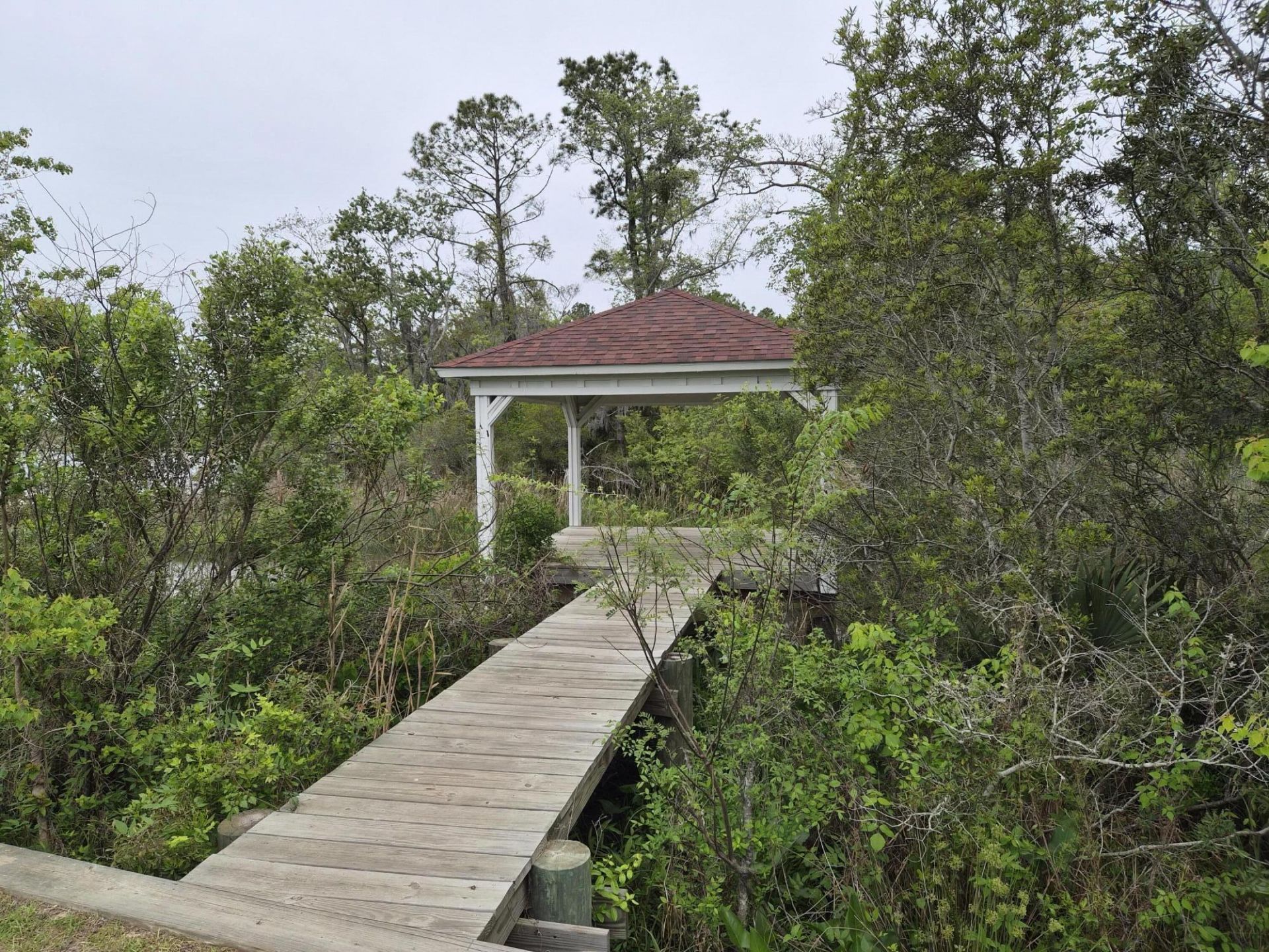 5001 Conestoga Drive Photo 54