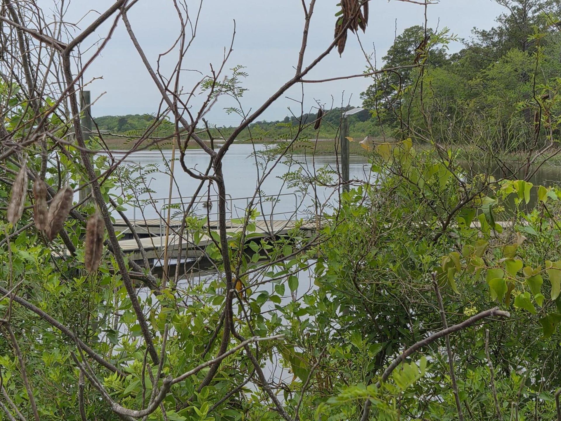 5001 Conestoga Drive Photo 55