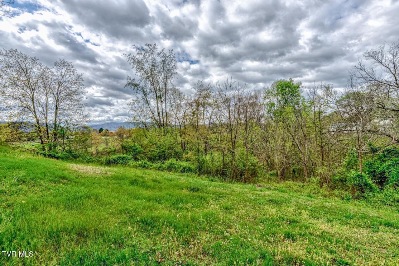 Tbd Cole Lane, Church Hill, TN 37642 Main Photo