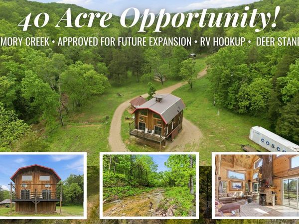 421 N Emory Creek Road, Walnut Shade, MO 65771