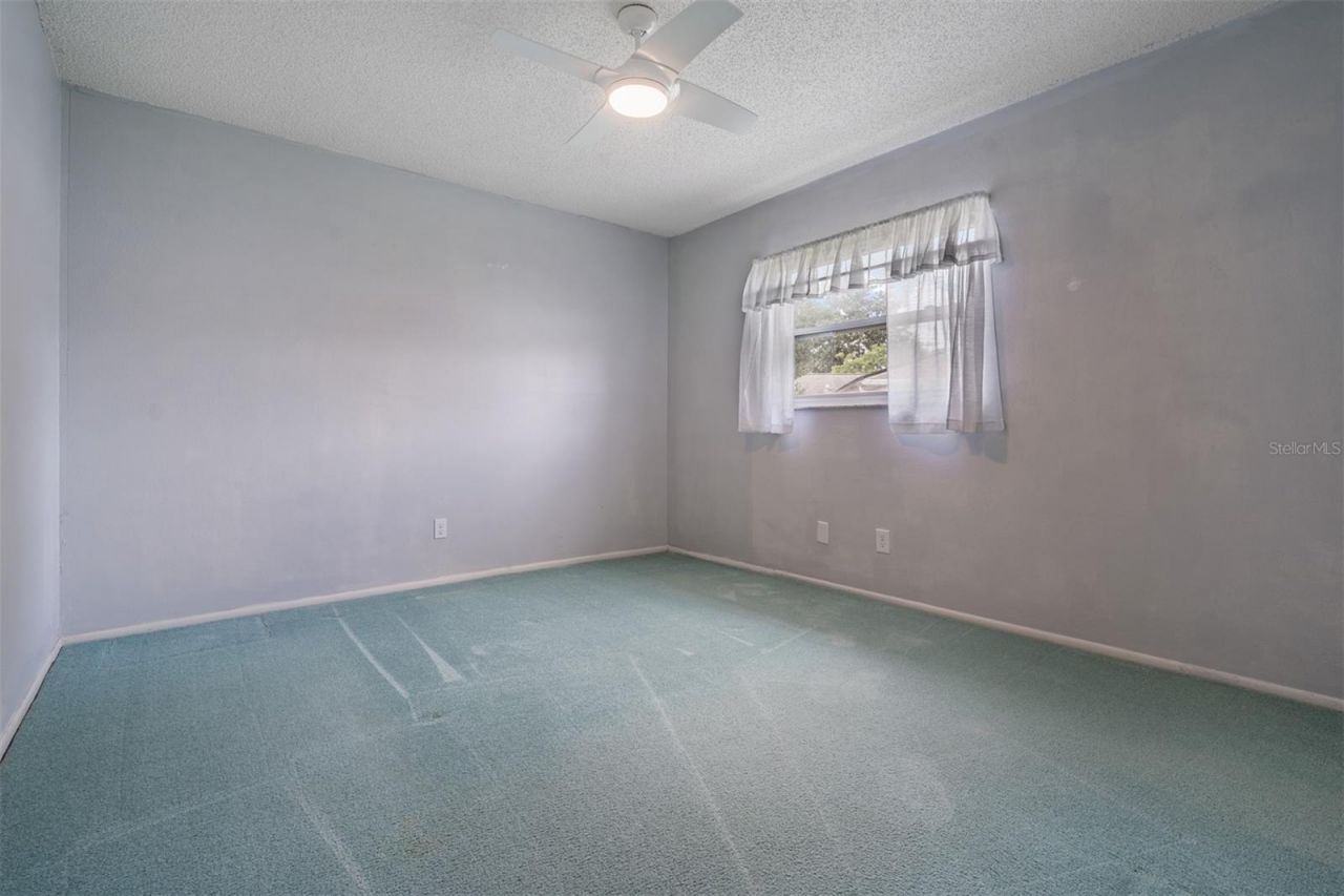 3267 Springwood Drive, Clearwater, FL 33761 Photo