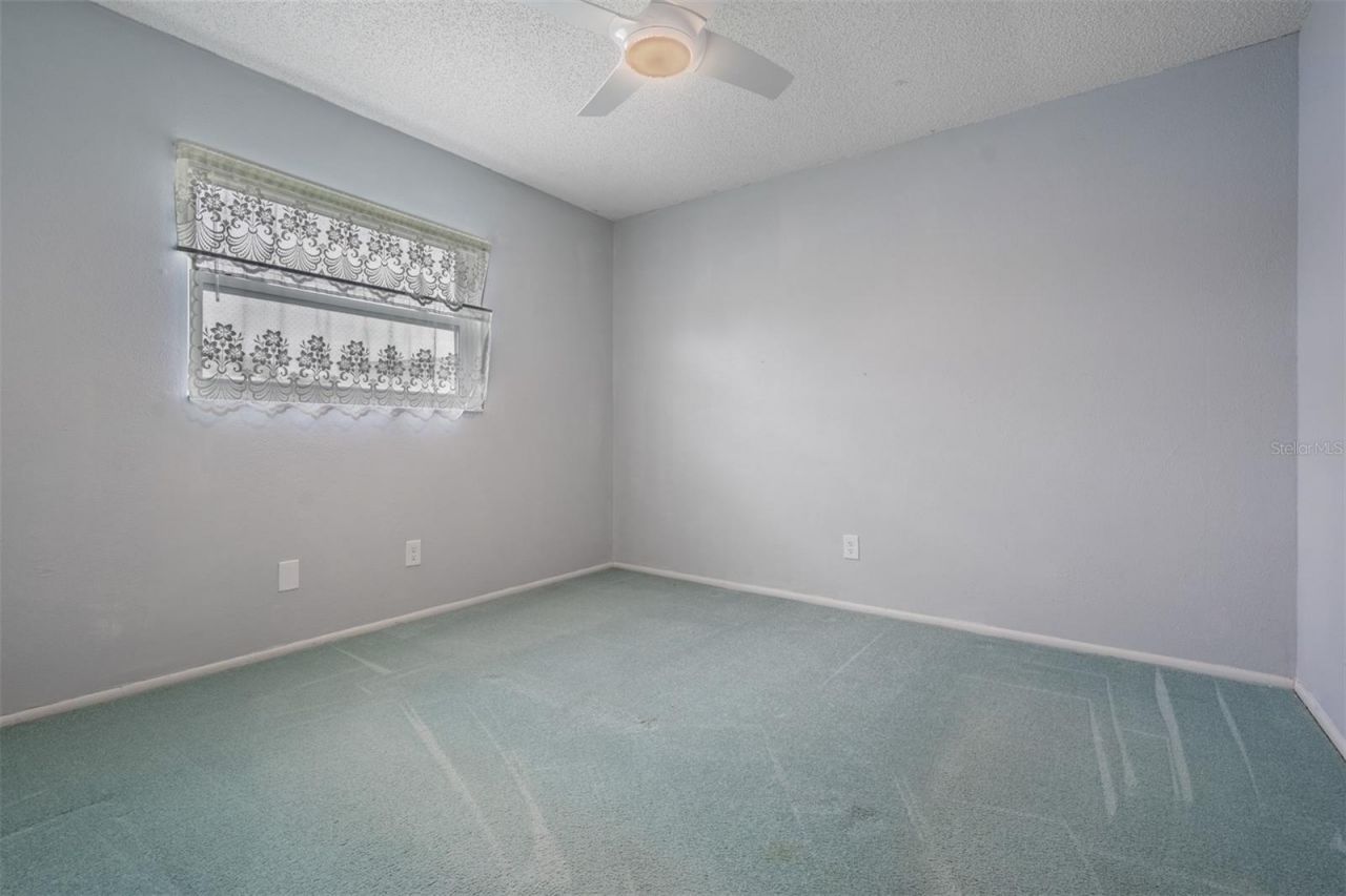 3267 Springwood Drive, Clearwater, FL 33761 Photo