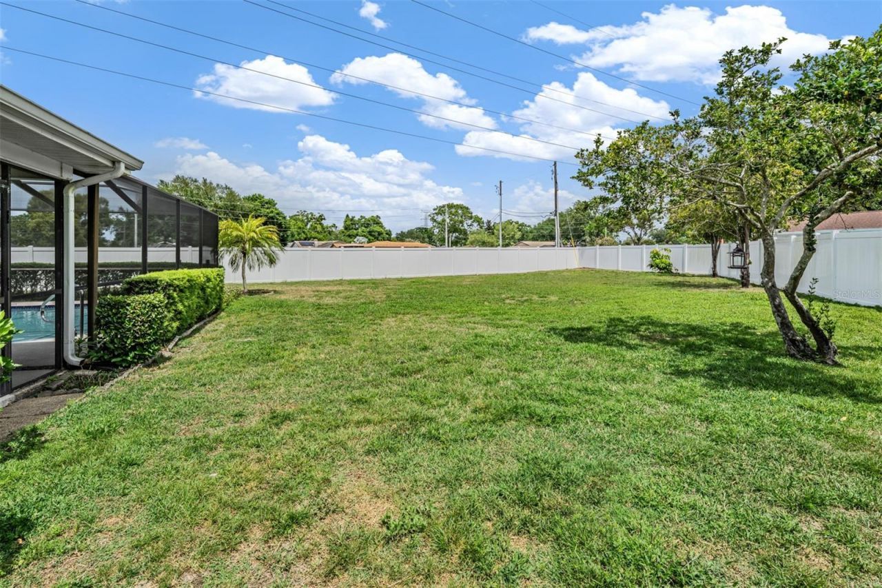 3267 Springwood Drive, Clearwater, FL 33761 Photo