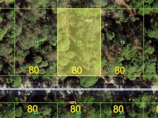 17452 IAGO AVENUE , PORT CHARLOTTE, FL 33954