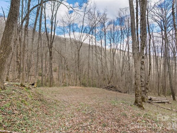 23 Forbidden Cove , Waynesville, NC 28785