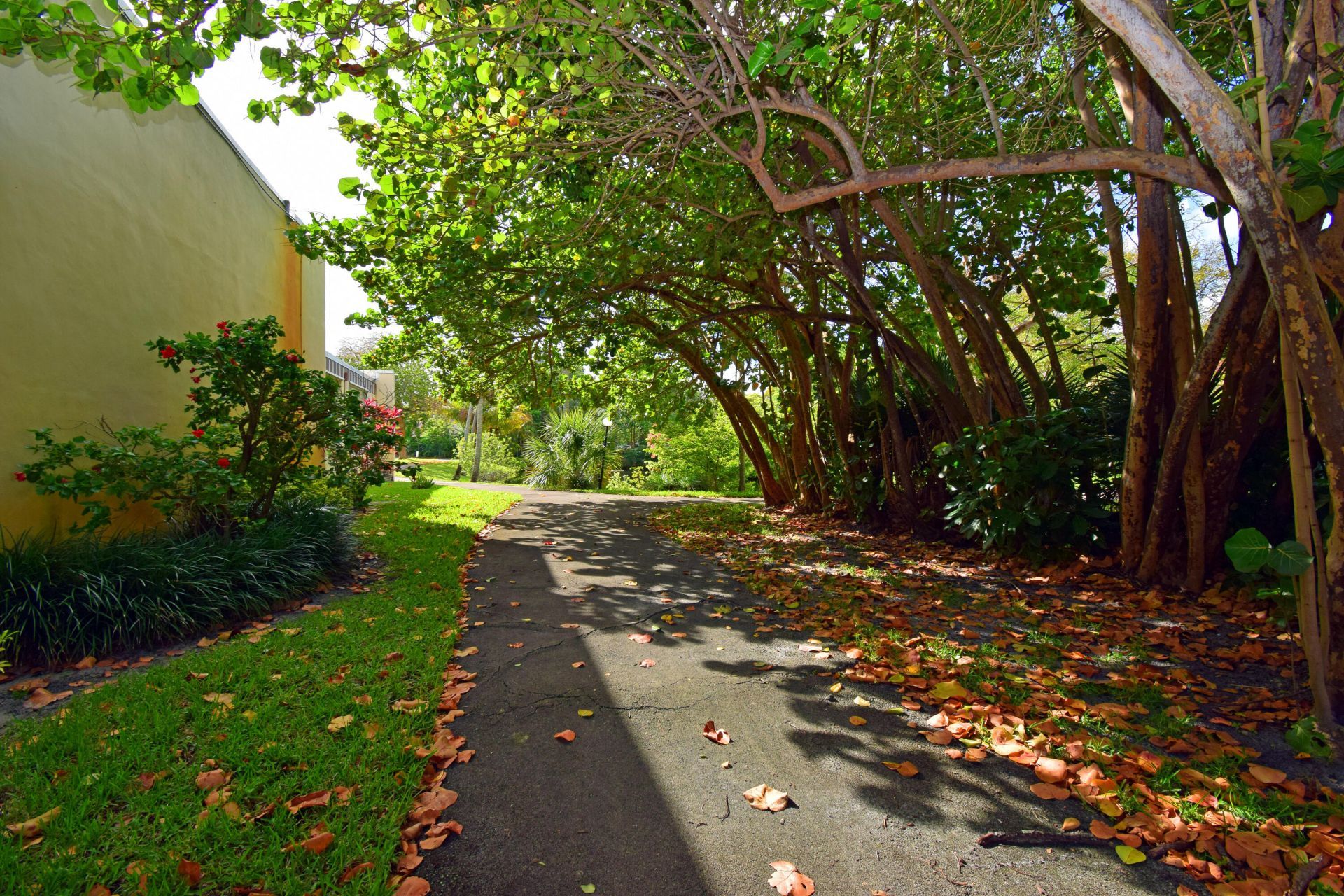 7100 NW 17th Street, Unit 217, Plantation, FL 33313 Photo