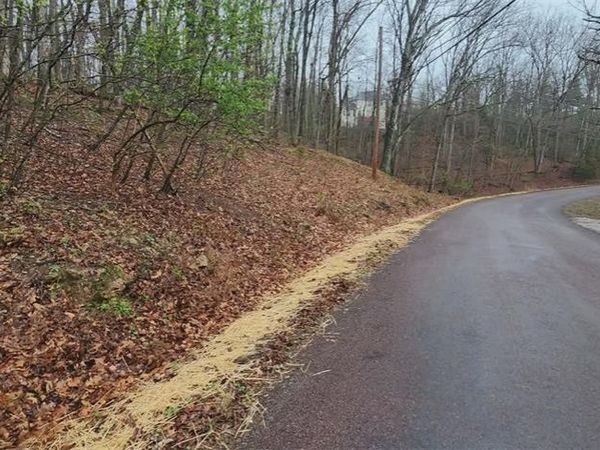 1784 S Lake Sherwood Drive, Marthasville, MO 63357