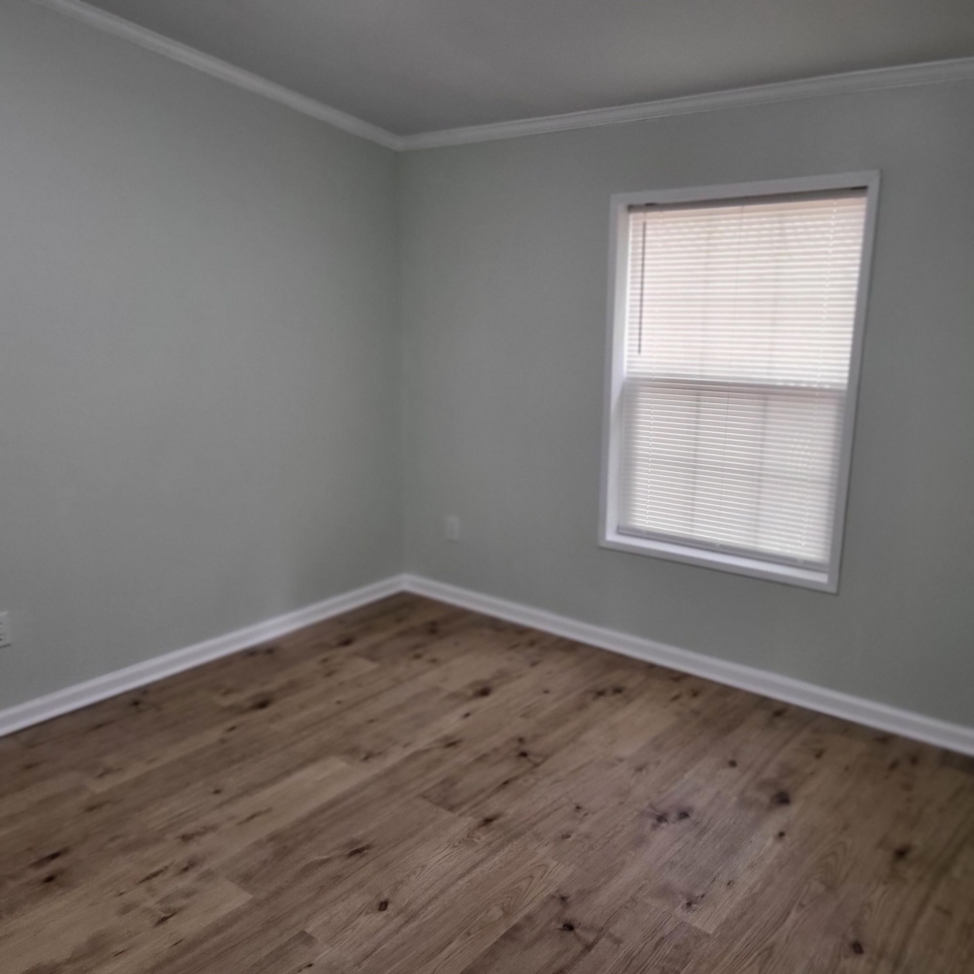 133 Knott Drive Photo 28