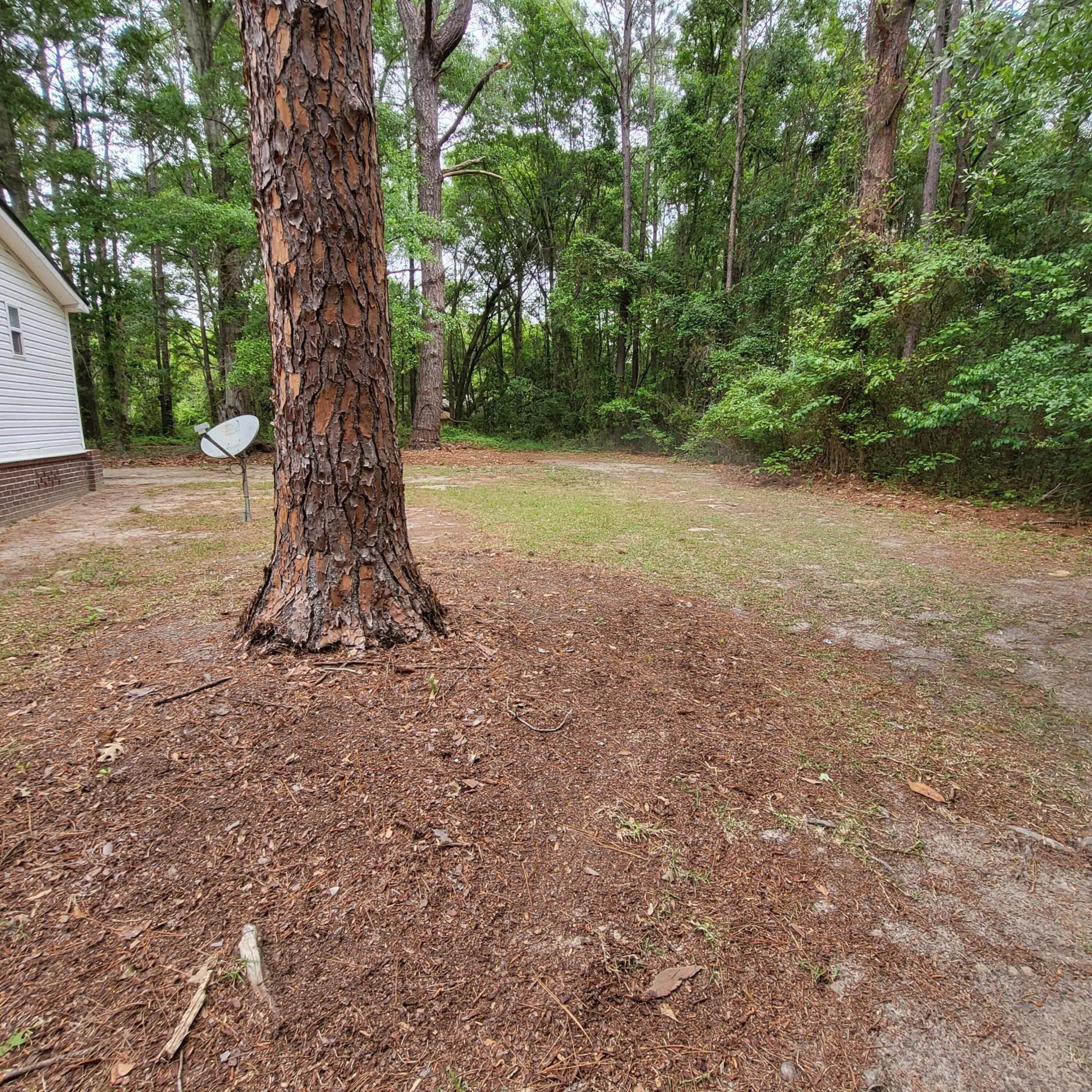 133 Knott Drive Photo 47