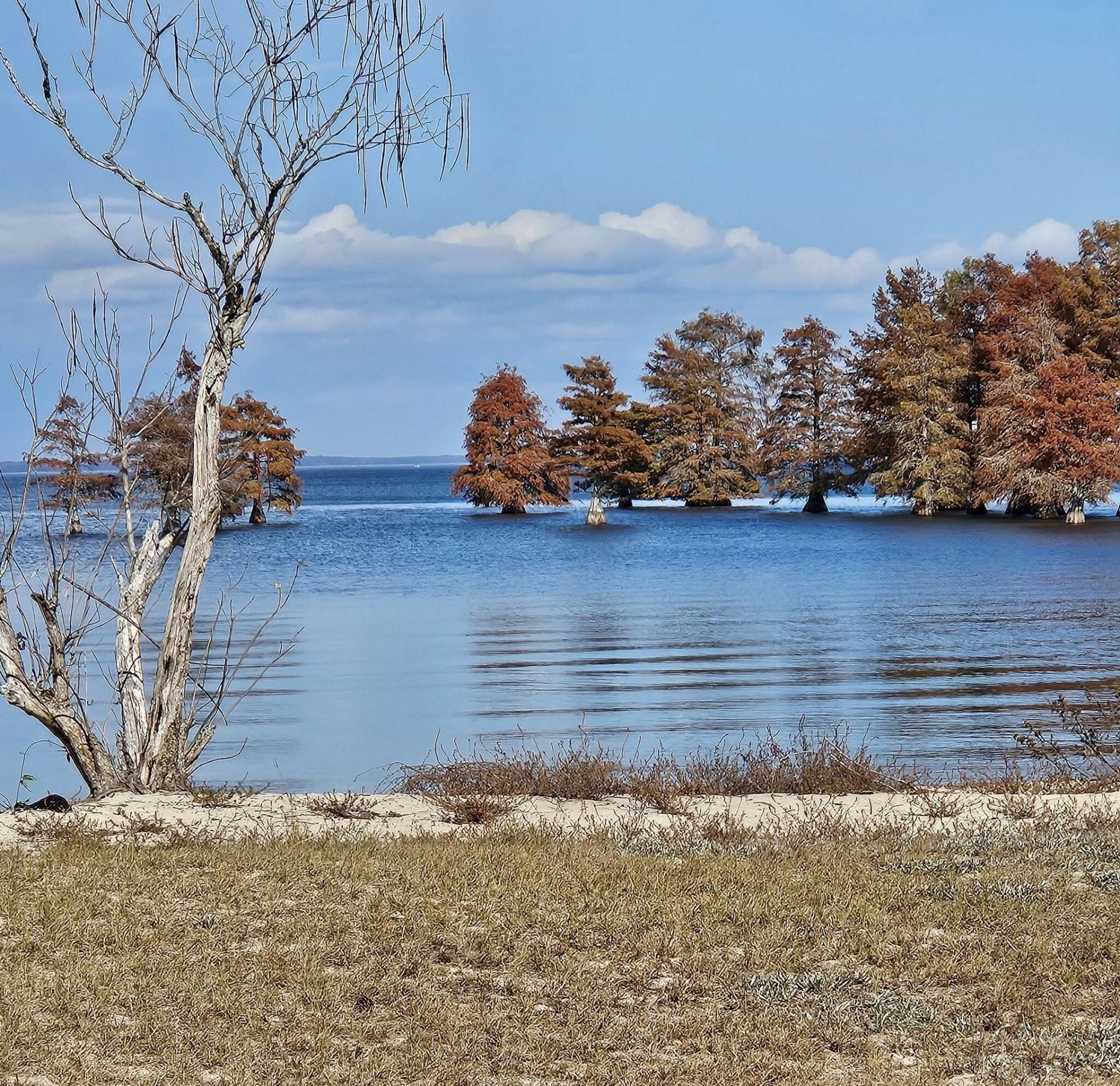 133 Knott Drive Photo 48