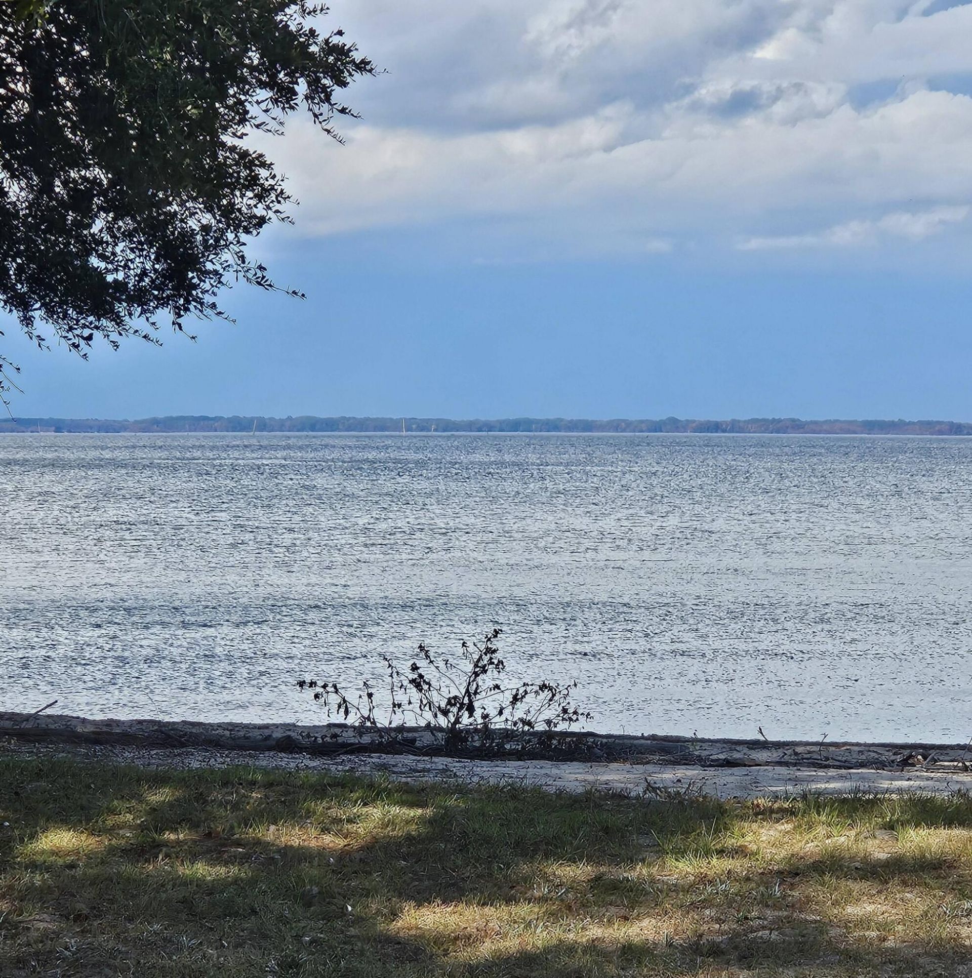 133 Knott Drive Photo 49