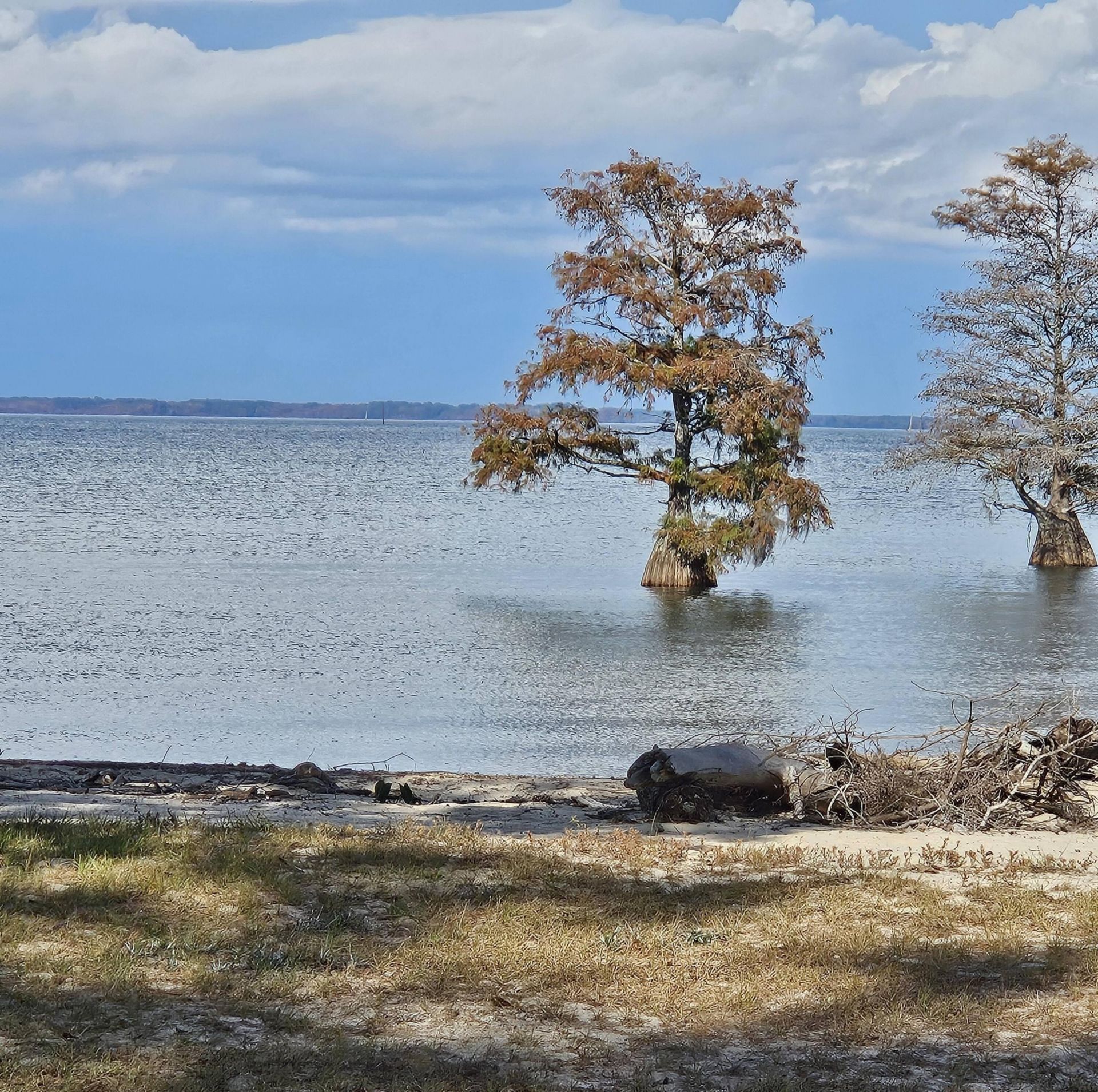 133 Knott Drive Photo 50