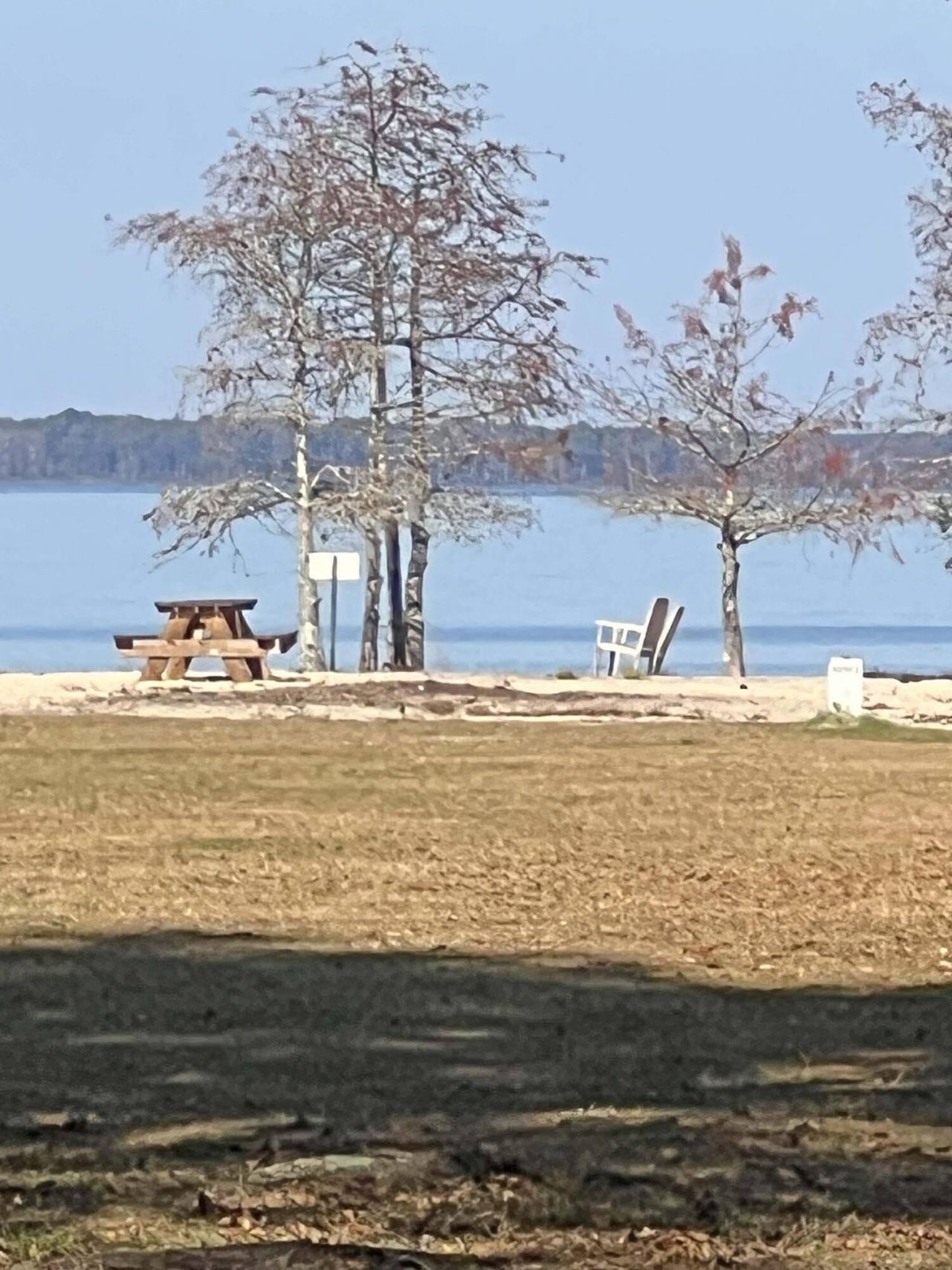 133 Knott Drive Photo 51