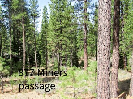 877 Miner's Passage, Clio, CA 00000 Photo