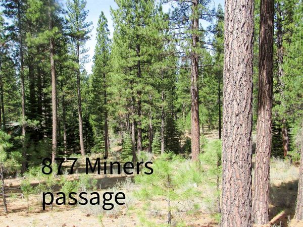 877 Miner's Passage, Clio, CA 00000