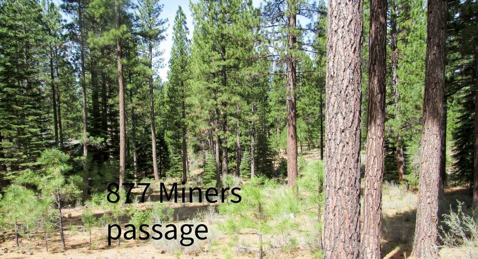 877 Miner's Passage, Clio, CA 00000 Photo