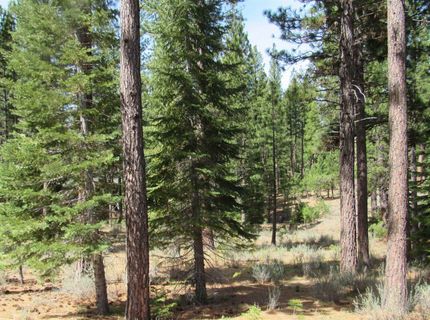 877 Miner's Passage, Clio, CA 00000 Photo