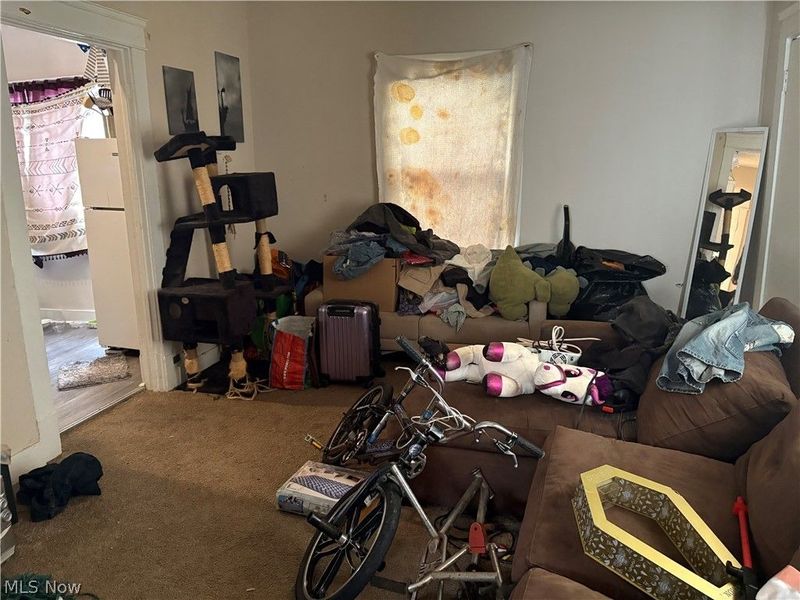 3672 E 144th Street, Cleveland, OH 44120 Photo 20