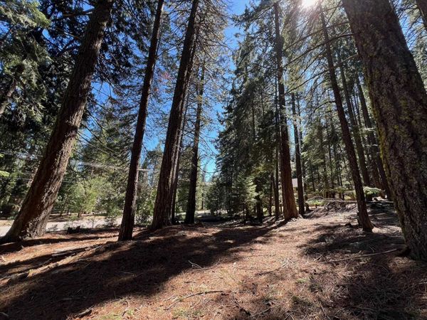 84 Yonkalla Trail, Graeagle, CA 96103