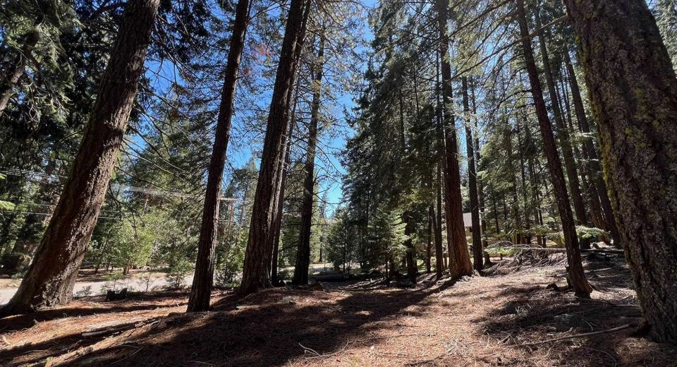 84 Yonkalla Trail, Graeagle, CA 96103 Photo