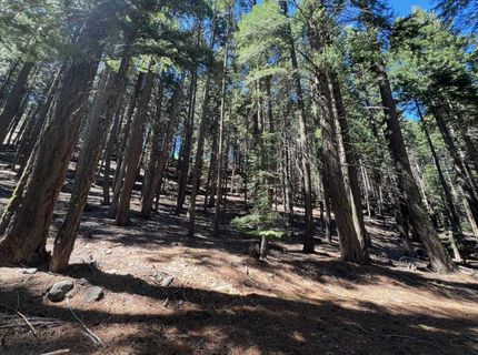 84 Yonkalla Trail, Graeagle, CA 96103 Photo