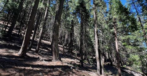 84 Yonkalla Trail, Graeagle, CA 96103 Photo