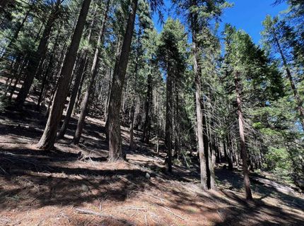 84 Yonkalla Trail, Graeagle, CA 96103 Photo