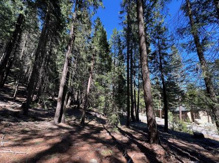84 Yonkalla Trail, Graeagle, CA 96103 Photo