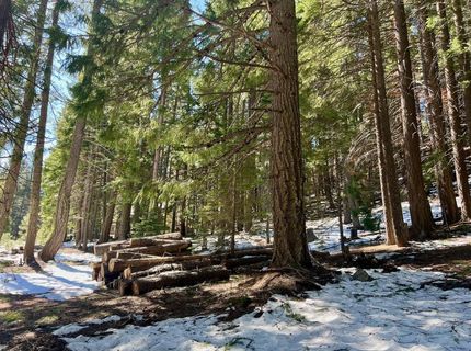 84 Yonkalla Trail, Graeagle, CA 96103 Photo