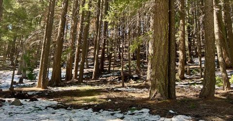 84 Yonkalla Trail, Graeagle, CA 96103 Photo