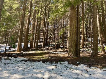 84 Yonkalla Trail, Graeagle, CA 96103 Photo