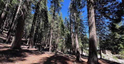 84 Yonkalla Trail, Graeagle, CA 96103 Photo