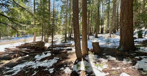 84 Yonkalla Trail, Graeagle, CA 96103 Photo